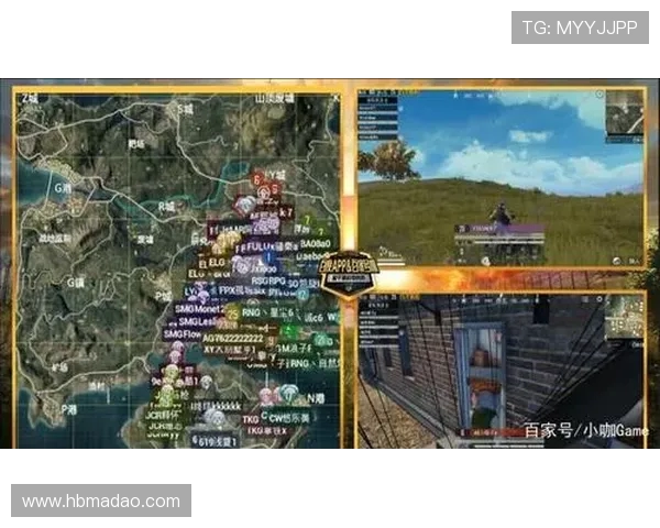 和平精英战队RNG耐力分析与战术探讨如何提升团队表现